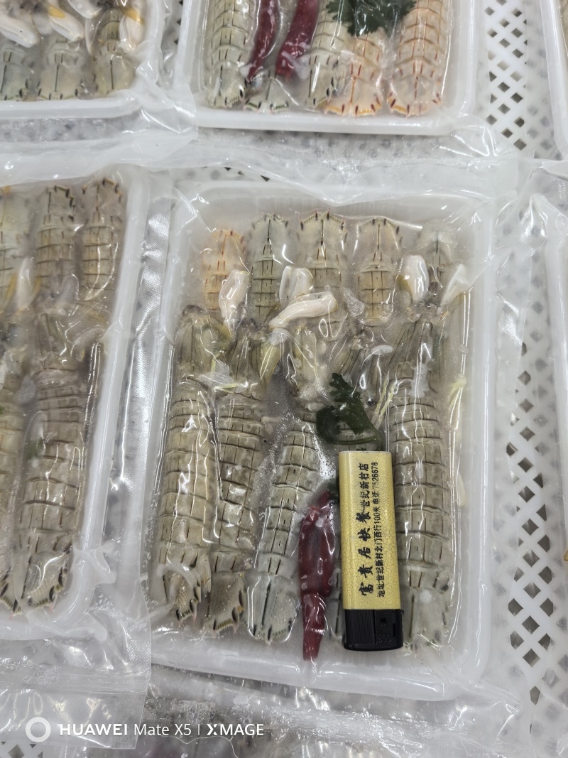 新鲜腌制皮皮虾虾爬子盐卤生呛醉虾爬酱虾即食生吃海鲜东港