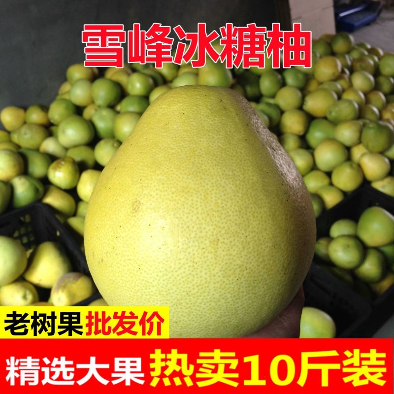 湖南怀化安江雪峰冰糖柚麻麻柚香柚小苦柚药柚金兰柚一件代发