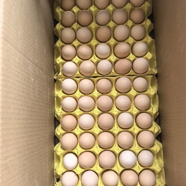 鸡蛋红心粉蛋白壳蛋大厂精品货可视频验货样品30箱起步