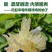 湖南怀化安江雪峰冰糖柚麻麻柚香柚小苦柚药柚金兰柚一件代发
