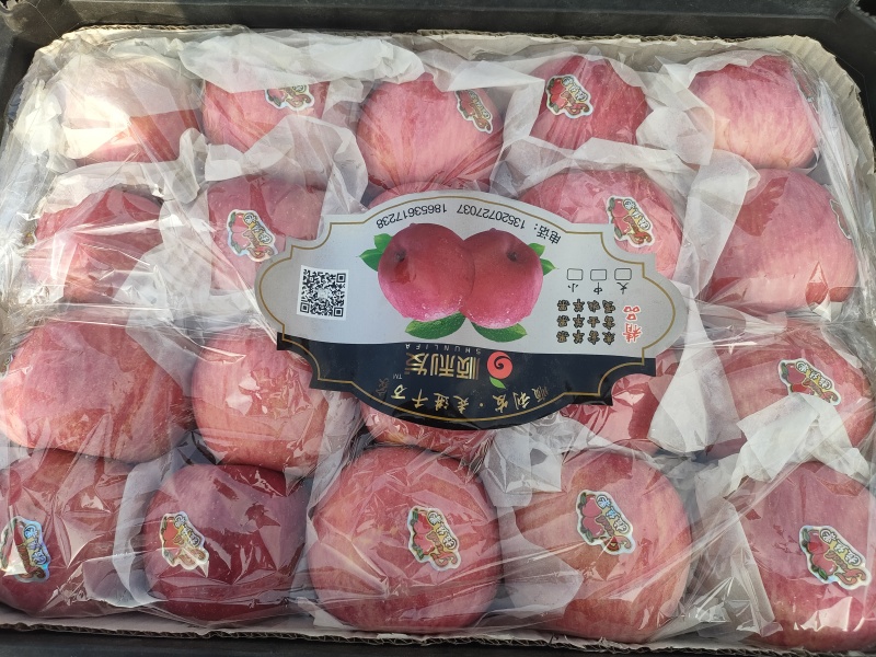 精品寒富高庄条纹净面果15万，大连安波广华家庭农场