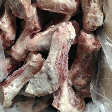 前腿骨下半截