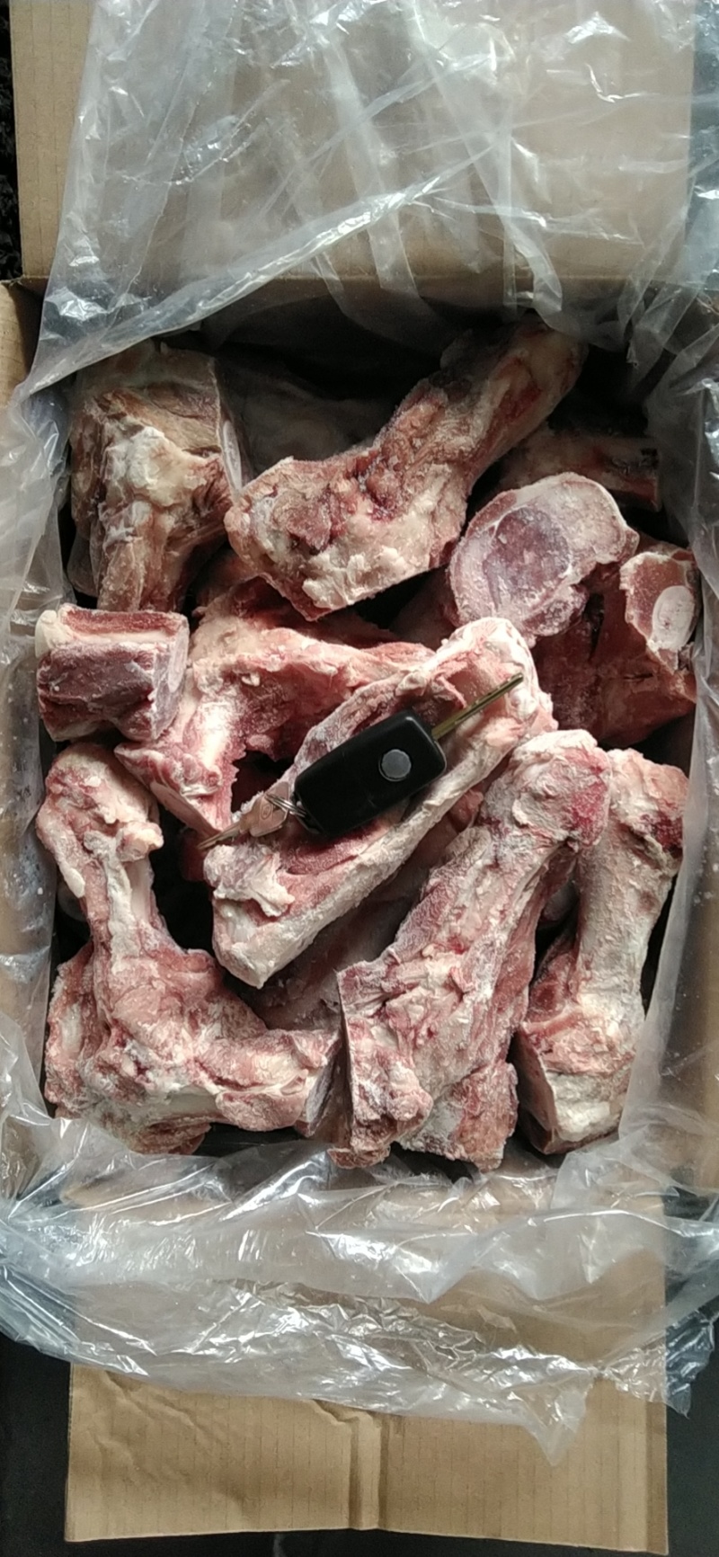 前腿骨下半截