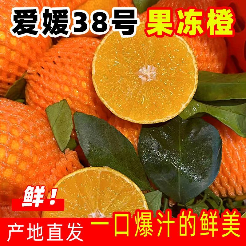 【实力代办】眉山爱媛橙爱媛38产地直发一手货源代发全国