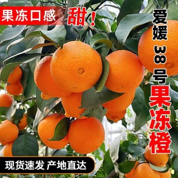 【实力代办】眉山爱媛橙爱媛38产地直发一手货源代发全国