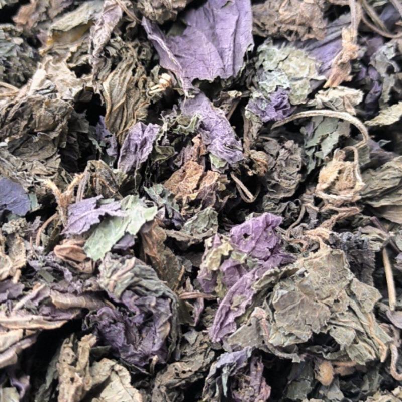 苏叶紫苏叶中药材批发紫苏叶质量保证量大从优