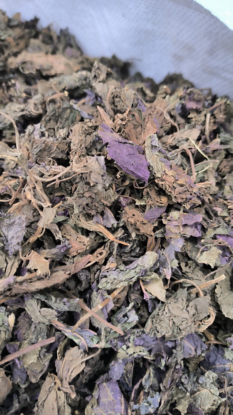 苏叶紫苏叶中药材批发紫苏叶质量保证量大从优