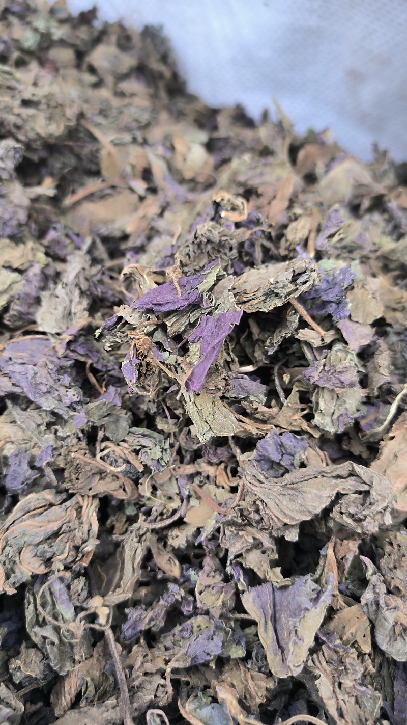 苏叶紫苏叶中药材批发紫苏叶质量保证量大从优