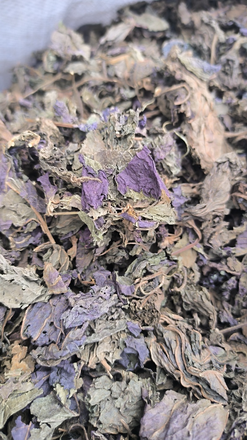 苏叶紫苏叶中药材批发紫苏叶质量保证量大从优