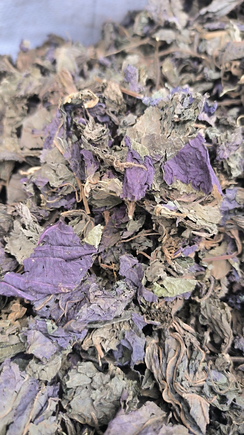 苏叶紫苏叶中药材批发紫苏叶质量保证量大从优