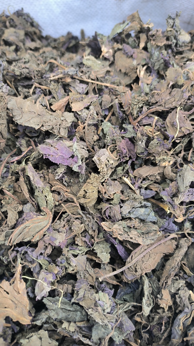 苏叶紫苏叶中药材批发紫苏叶质量保证量大从优