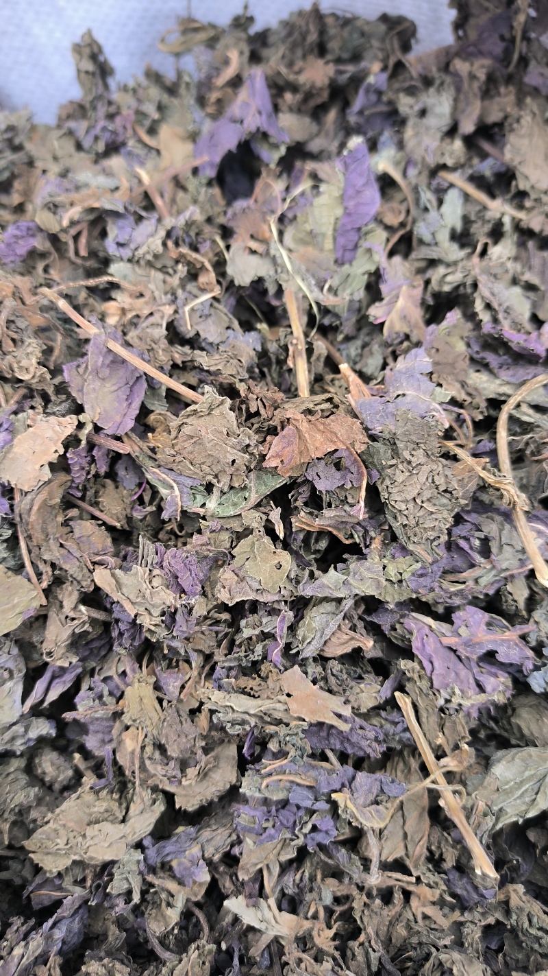 苏叶紫苏叶中药材批发紫苏叶质量保证量大从优