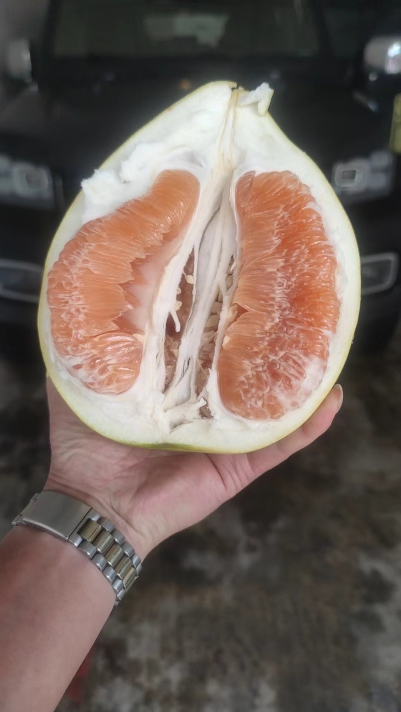 套袋红心柚