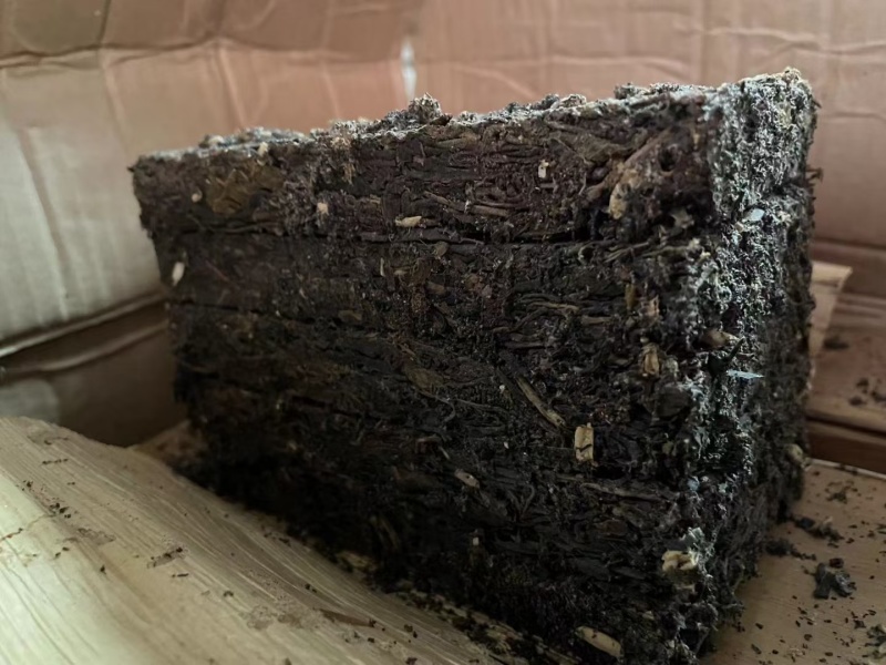 虫屎茶