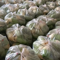 精品水洗青萝卜