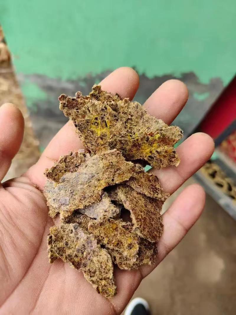 精品金棉籽饼肥，油厂直发，货源稳定。果园菌棚改良用