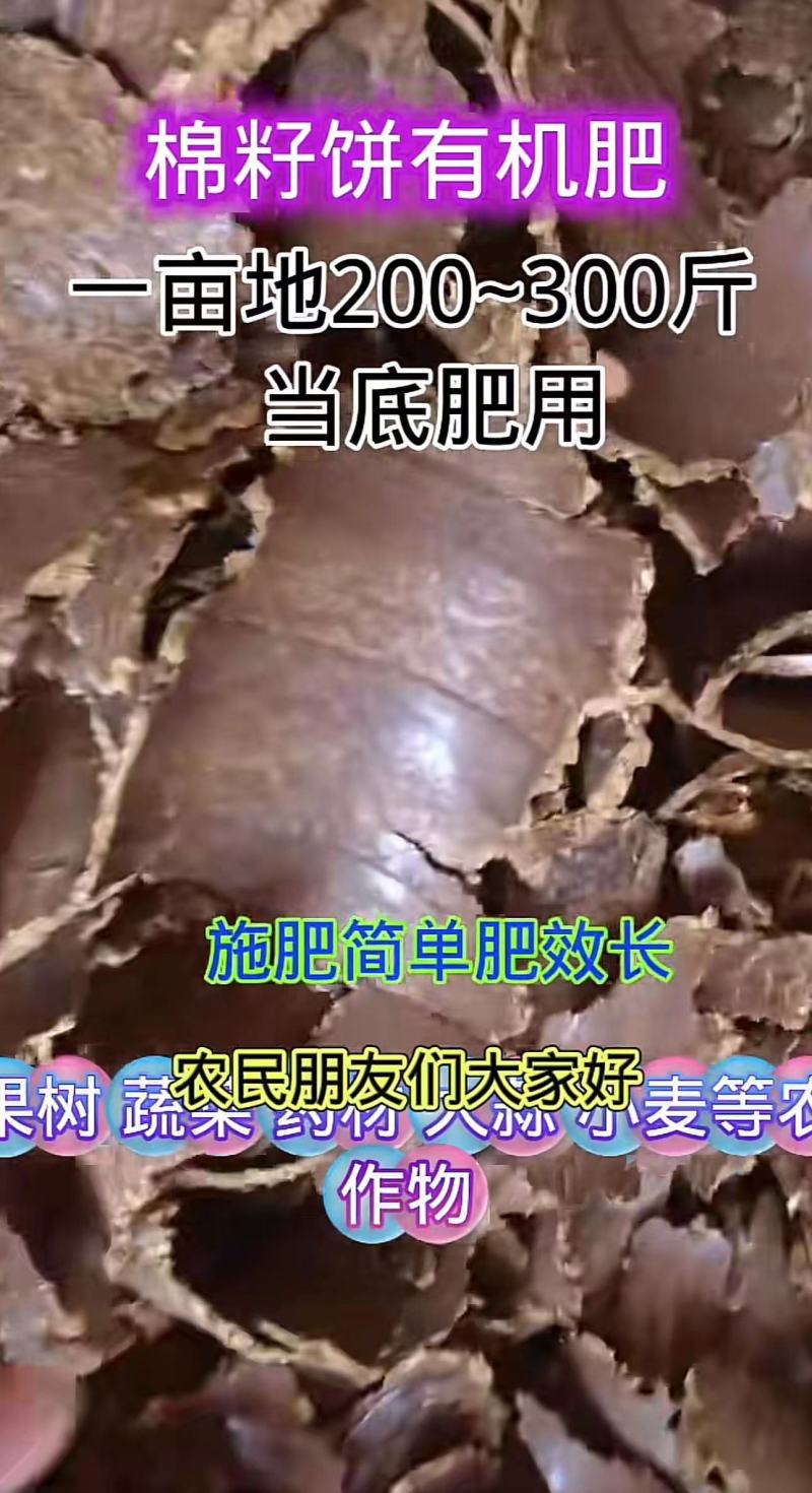 精品金棉籽饼肥，油厂直发，货源稳定。果园菌棚改良用
