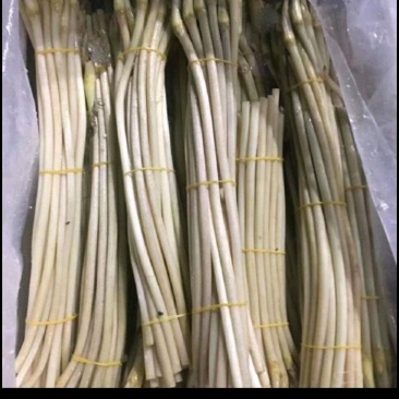 湖北特产，新鲜藕带与泡藕带长期供应，价格随行就市欢迎订购