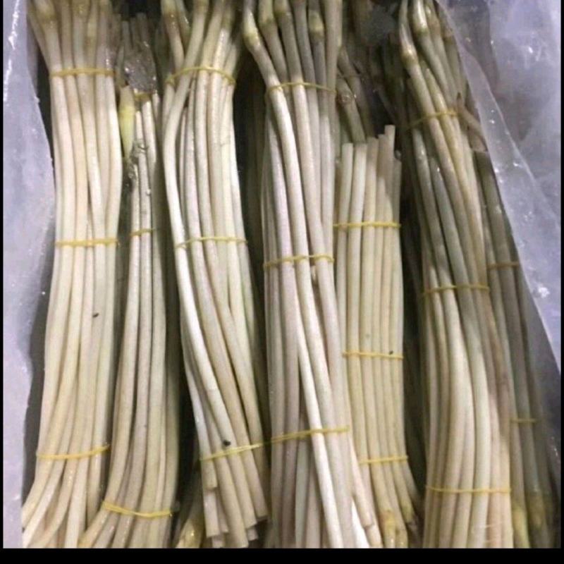 湖北特产，新鲜藕带与泡藕带长期供应，价格随行就市欢迎订购