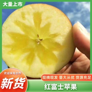 精品红富士萍果量大从优质量保证对接全国欢迎咨询