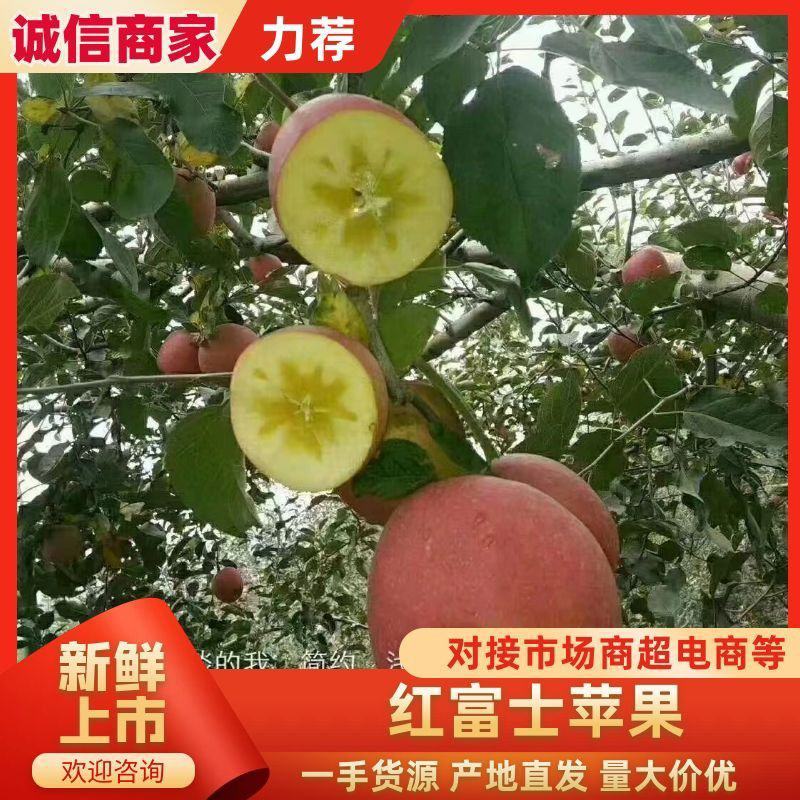 精品昭通红富士苹果，口感脆甜量大从优欢迎联系