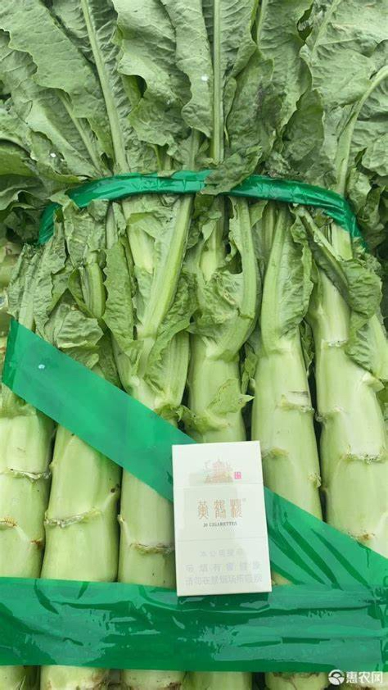 山东省郯城县红尖叶香莴苣，大量上市保质保量