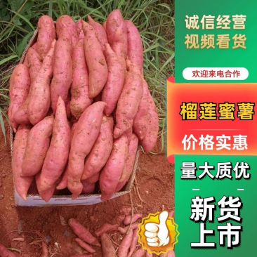 【榴莲蜜薯】品质好货软糯香甜价格详谈欢迎来电