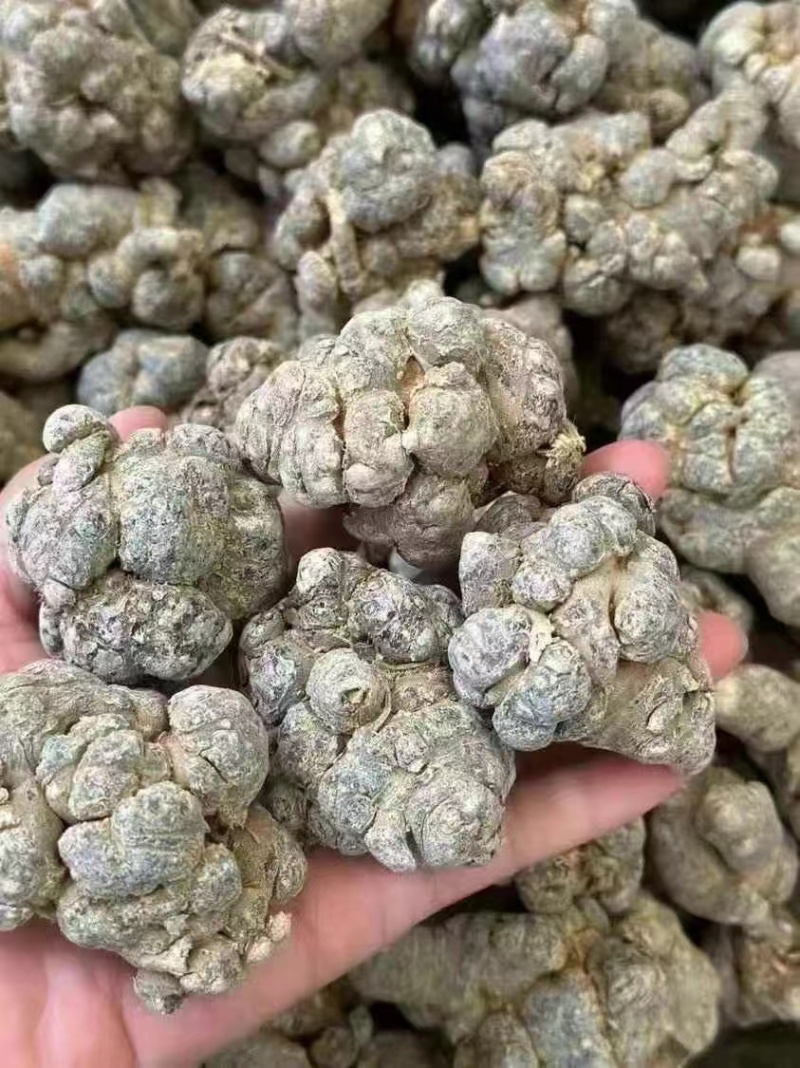 三七云南三七，规格齐全，一件代发，可委托打粉对接全国客商