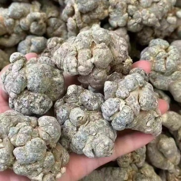 三七云南三七，规格齐全，一件代发，可委托打粉对接全国客商