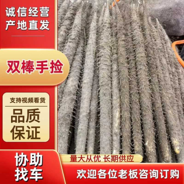 新鲜山药，健康美味，直供农场，**特惠！