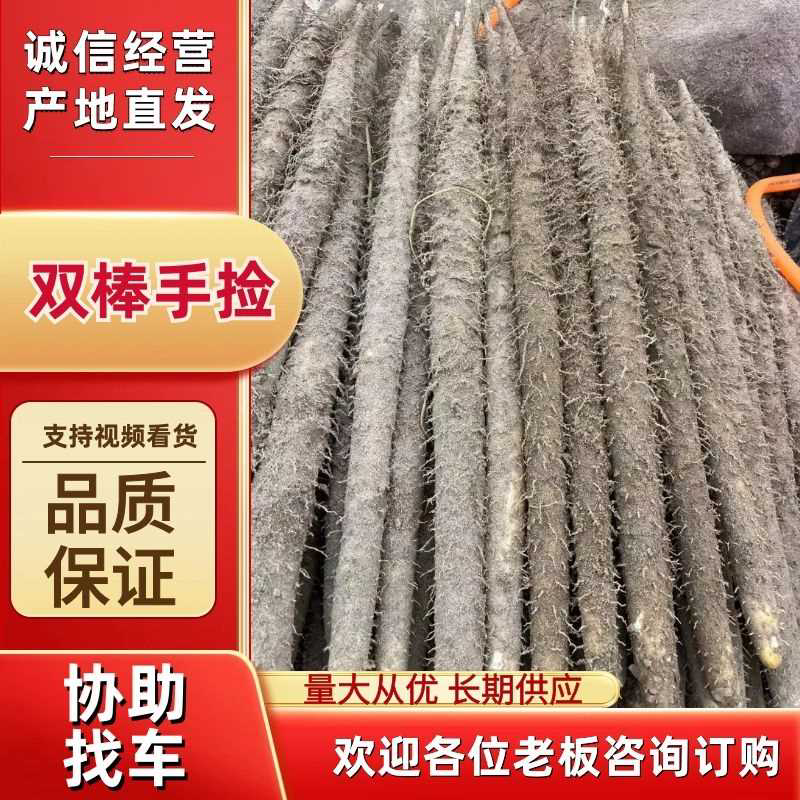 新鲜山药，健康美味，直供农场，**特惠！