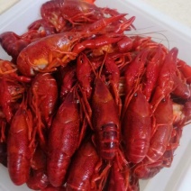 清水小龙虾3/5规格适合自助食堂