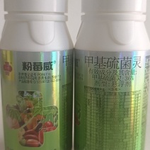 粉霉威甲基硫菌灵对灰霉病疫病叶霉污霉干尖有很好的防