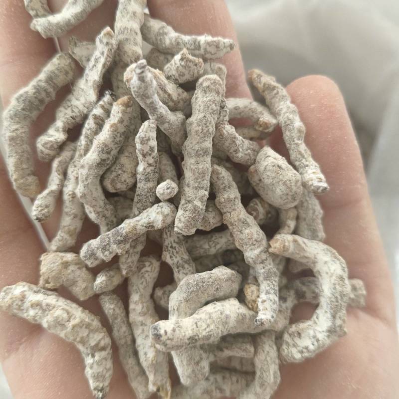 僵蚕，白僵蚕，僵虫【丹丹中药】诚信经营产地一手货源