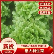 精品意大利生菜大量上市，价格实惠，支持全国各大市场，商超