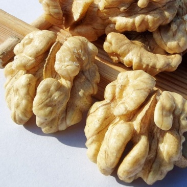 【热卖】山西核桃仁大量供应现剥现发品质保证质优