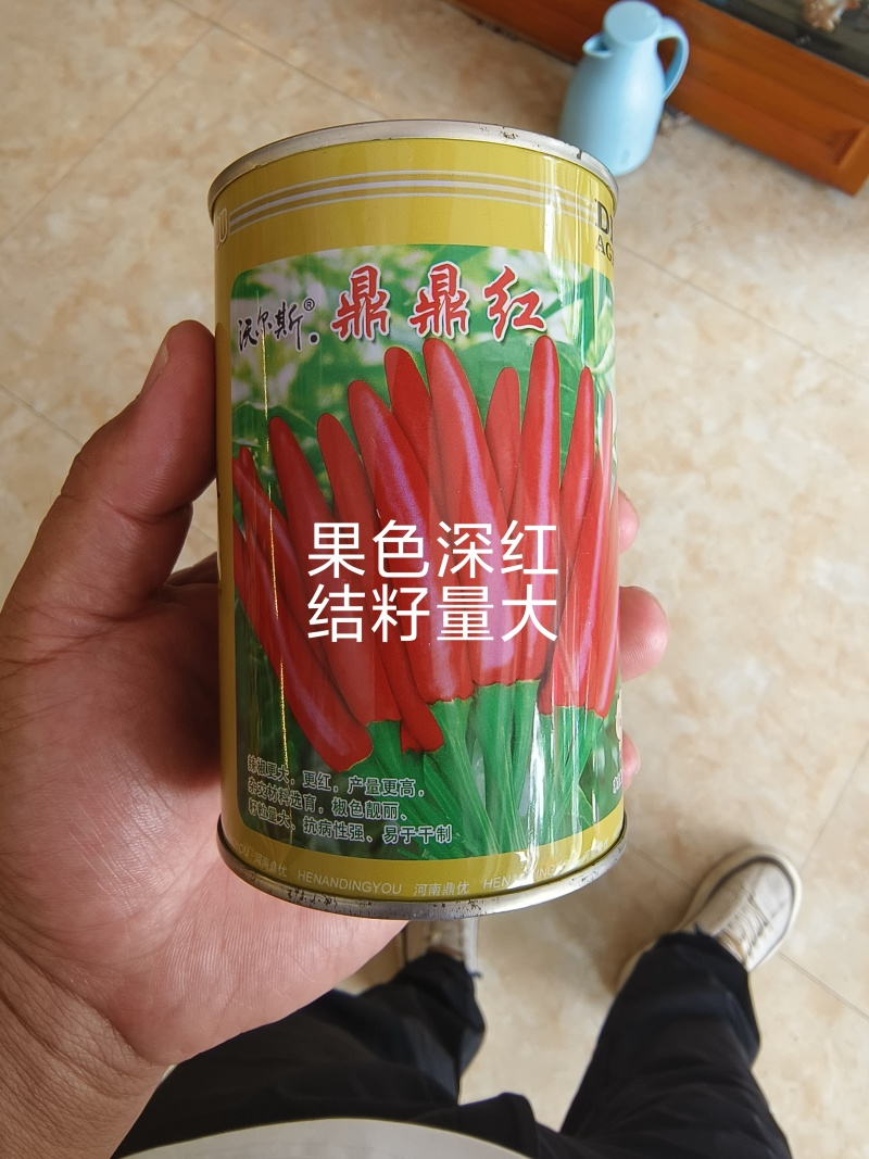 鼎鼎红朝天椒种子早熟果色深红结籽量大长9-10厘米粗