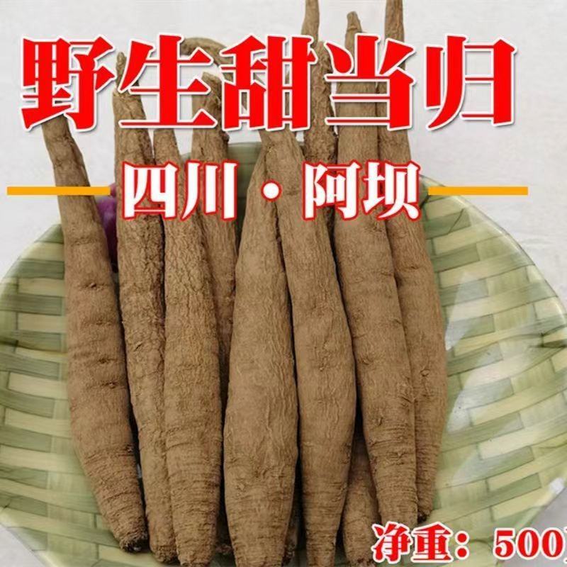 全网低价藏区高原干当归整根欢迎电话咨询营养丰富