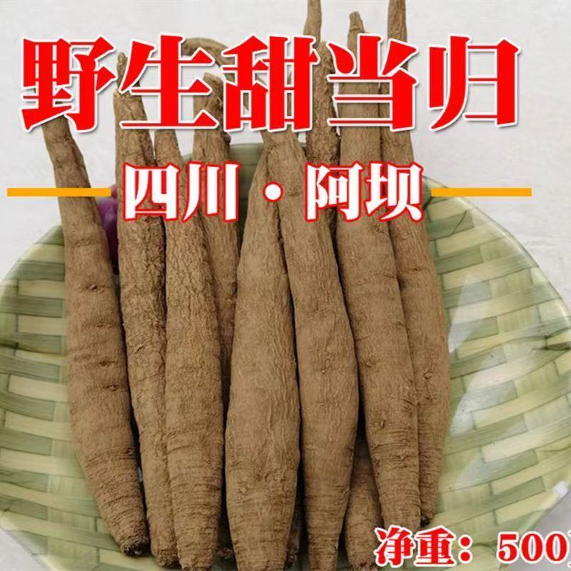 全网低价藏区高原干当归整根欢迎电话咨询营养丰富