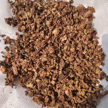 中药材凤仙花，指甲花，可以染指甲