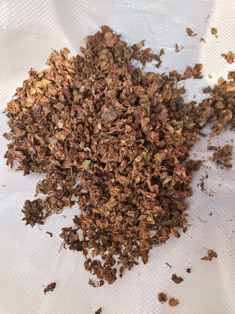 中药材凤仙花，指甲花，可以染指甲