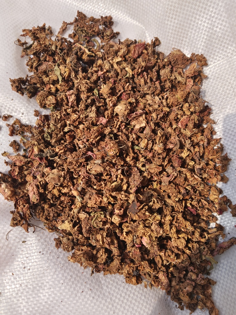 中药材凤仙花，指甲花，可以染指甲