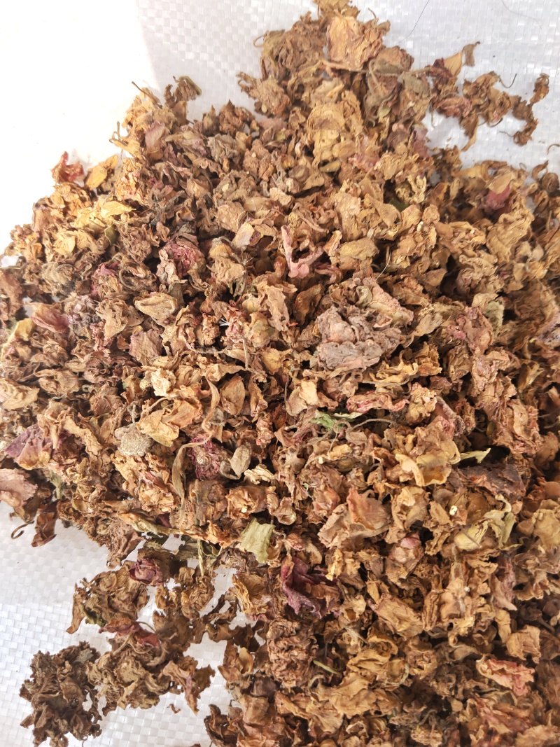 中药材凤仙花，指甲花，可以染指甲