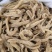 天麻云南小红天麻籽1000g起批关书药业专注品质