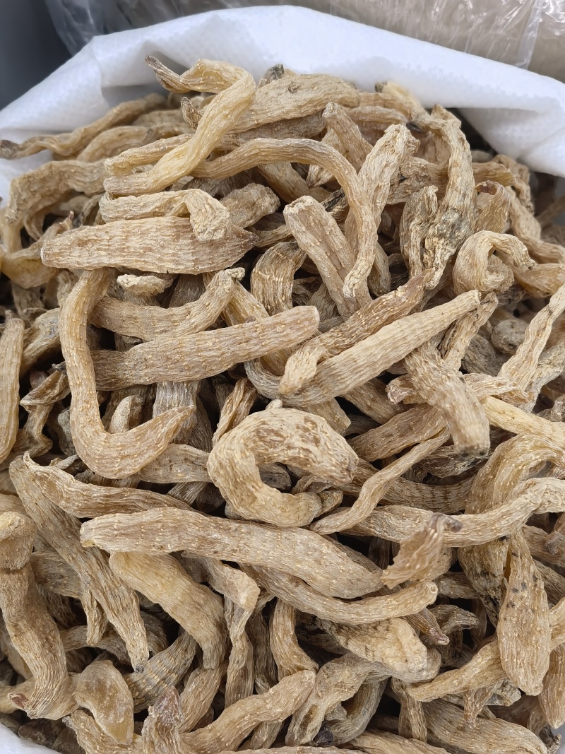 天麻云南小红天麻籽1000g起批关书药业专注品质