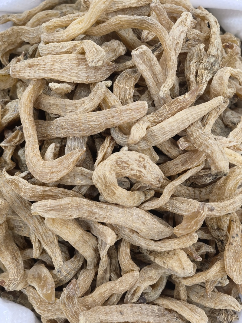 天麻云南小红天麻籽1000g起批关书药业专注品质