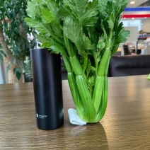 新鲜水果芹菜约250g一包餐厅饭店点缀可食用