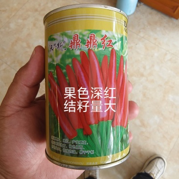 鼎鼎红朝天椒种子早熟果色深红结籽量大长9-10厘米粗