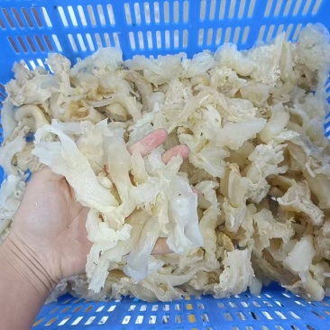 牛碎筋边角料牛副筋水发牛筋火锅冒菜牛杂煲可用