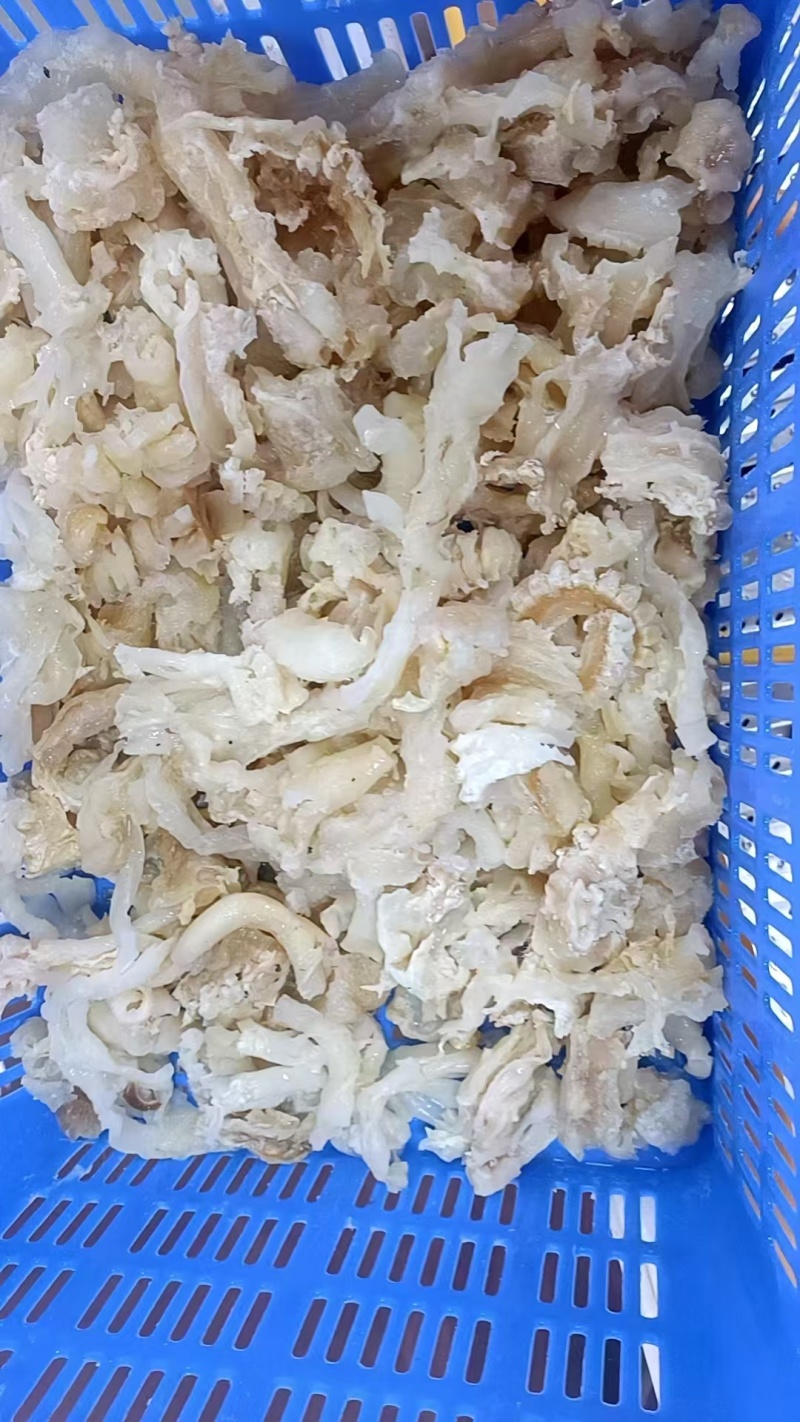 牛碎筋边角料牛副筋水发牛筋火锅冒菜牛杂煲可用
